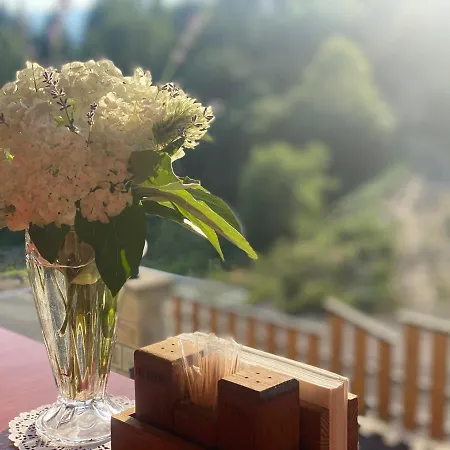 високий перевал, Bukovel Appartement